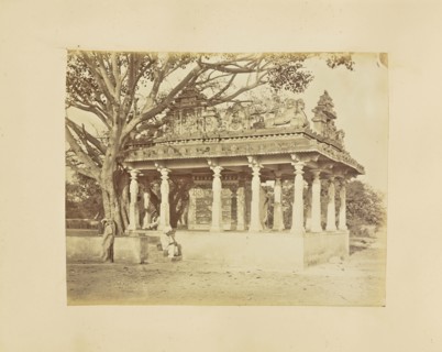 print; Colonel William Willoughby Hooper, British, 1837 - 1912, India; 1873