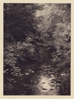 Forest stream; Arthur Brown, British, active 1850s, Newcastle upon Tyne, England; 1878; Carbon print; 9.8 x 7.1 cm