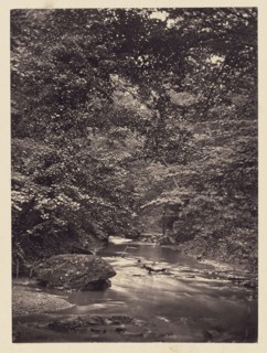 Forest stream; Arthur Brown, British, active 1850s, Saltburn-on-the-Sea, North Yorkshire, England; 1878; Carbon print