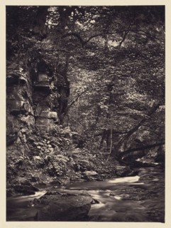 Bend in forest stream; Arthur Brown, British, active 1850s, Saltburn-on-the-Sea, North Yorkshire, England; 1878; Carbon print