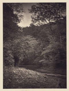 Forest scene; Arthur Brown, British, active 1850s, Saltburn-on-the-Sea, North Yorkshire, England; 1878; Carbon print