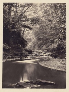 Stream and small waterfall; Arthur Brown, British, active 1850s, Saltburn-on-the-Sea, North Yorkshire, England; 1878; Carbon