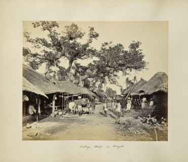 Calcutta; Rustic Scenes and Rural Life in Bengal; Samuel Bourne, English, 1834 - 1912, Calcutta, West Bengal, India, Asia
