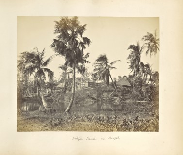 Calcutta; Rustic Scenes and Rural Life in Bengal; Samuel Bourne, English, 1834 - 1912, Calcutta, West Bengal, India, Asia