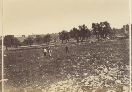 Panoramic View of the City: General View of the City &c. from the North; Sgt. James M. McDonald, English, 1822 - 1885, Israel