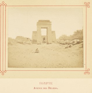 Avenue des Béliers; Félix Bonfils, French, 1831 - 1885, Alais, France; about 1878; Albumen silver print