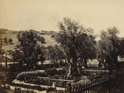 Jerusalem, View in the Garden of Gethsemane, Looking Towards the Walls of Jerusalem; Francis Bedford, English, 1815,1816 - 1894