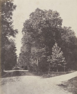 Croisement d'allées, dans la fôret; French, Louis Désiré Blanquart-Evrard, French, 1802 - 1872, Lille, France; 1853; Salted