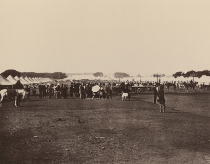 H.E. The Viceroy's Camp; Bourne & Shepherd, English, founded 1863, London, England; 1877; Woodburytype; 14.8 x 18.1 cm