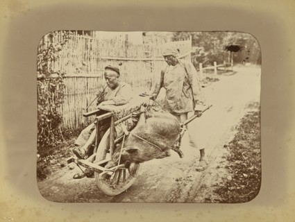 A Shangai Omnibus; Attributed to William Saunders, English, 1832 - 1892, China; 1870 - 1880; Albumen silver print