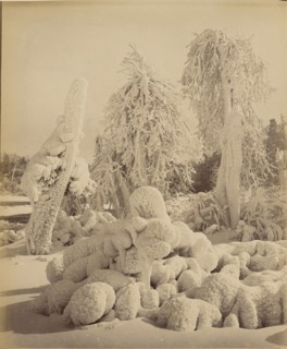 Chûte du Niagara; 1860s - 1880s; Albumen silver print