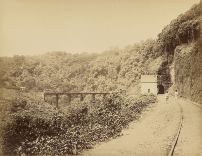 Vistas Mexicanas. Metlac Ravine; Abel Briquet, French, 1833 - ?, Veracruz, Mexico; 1860s - 1880s; Albumen silver print