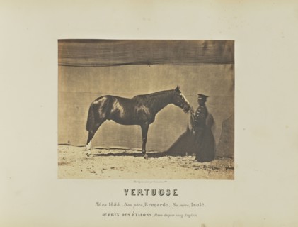 Vertuose; Adrien Alban Tournachon, French, 1825 - 1903, France; 1860; Salted paper print; 17.7 × 22.3 cm, 6 15,16 × 8 3,4 in