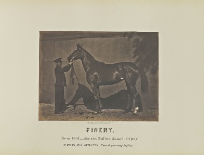 Finery; Adrien Alban Tournachon, French, 1825 - 1903, France; 1860; Salted paper print; 16.6 × 22.2 cm, 6 9,16 × 8 3,4 in