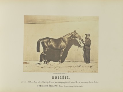 Briséis; Adrien Alban Tournachon, French, 1825 - 1903, France; 1860; Salted paper print; 17.9 × 23.5 cm, 7 1,16 × 9 1,4 in