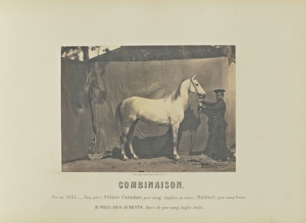 Combinaison; Adrien Alban Tournachon, French, 1825 - 1903, France; 1860; Salted paper print; 16.2 × 22.2 cm, 6 3,8 × 8 3,4 in