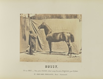 Bussy; Adrien Alban Tournachon, French, 1825 - 1903, France; 1860; Salted paper print; 17.4 × 22.2 cm, 6 7,8 × 8 3,4 in