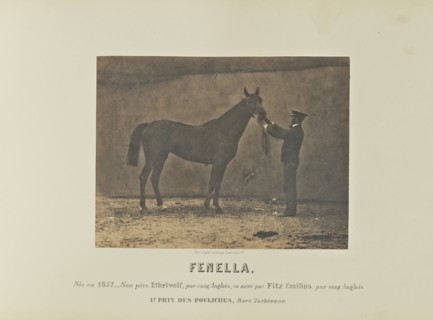 Fenella; Adrien Alban Tournachon, French, 1825 - 1903, France; 1860; Salted paper print; 16.5 × 21.8 cm, 6 1,2 × 8 9,16 in