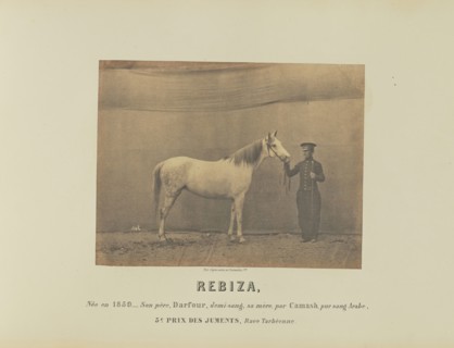 Rebiza; Adrien Alban Tournachon, French, 1825 - 1903, France; 1860; Salted paper print; 16.7 × 21.8 cm, 6 9,16 × 8 9,16 in