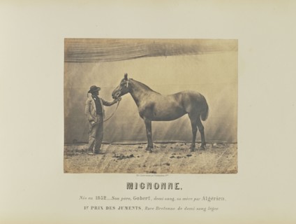 Mignonne; Adrien Alban Tournachon, French, 1825 - 1903, France; 1860; Salted paper print; 17 × 22.1 cm, 6 11,16 × 8 11,16 in