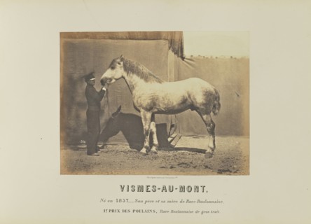 Vismes-Au-Mont; Adrien Alban Tournachon, French, 1825 - 1903, France; 1860; Salted paper print; 17.9 × 23.5 cm