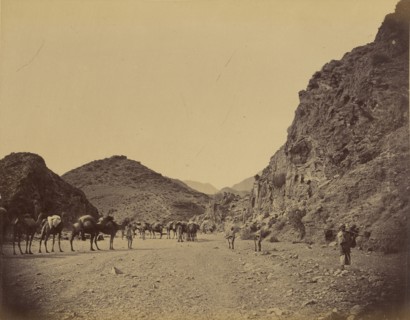 Group of camels; John Burke, British, active 1860s - 1870s, Afghanistan; 1878 - 1879; Albumen silver print