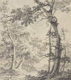 Wooded Landscape; Paulus van Liender, Dutch, 1731 - 1797, about 1780 - 1790; Pen and gray ink and wash over black chalk