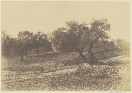 Jérusalem. Porte d'Hérode; Auguste Salzmann, French, 1824 - 1872, Louis Désiré Blanquart-Evrard, French, 1802 - 1872
