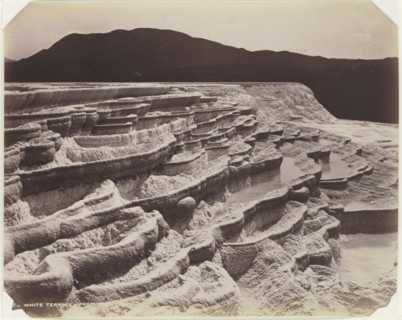 White Terrace, New Zealand; Burton Brothers, New Zealander, 1866 - 1914, New Zealand; about 1860s - 1880s; Albumen silver print