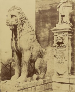 Leone in piedi alle Porte dell' Arsenale; Giuseppe Cimetta, Italian, active Venice, Italy 1850s, 1850s; Albumen silver print