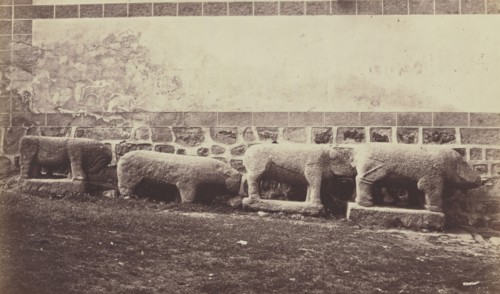 Sanghiers in Granite in Palais du Duc d' Abrantes; Juan Laurent, French, 1816 - 1892, n.d; Albumen silver print