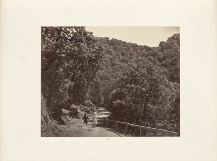 Simla; A Shady Ride round sic Jakko; Samuel Bourne, English, 1834 - 1912, Simla, India; 1868; Albumen silver print