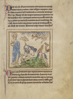 The Creation of the Birds and Fishes; England; about 1250 - 1260; Pen-and-ink drawings tinted with body color and translucent