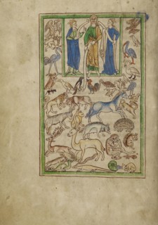 Adam Naming the Animals; England; about 1250–1260; Pen-and-ink drawings tinted with body color and translucent washes on