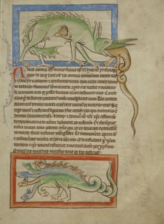 A Hydrus; A Hydra; England; about 1250–1260; Pen-and-ink drawings tinted with body color and translucent washes on parchment