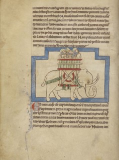 An Elephant; England; about 1250 - 1260; Pen-and-ink drawings tinted with body color and translucent washes on parchment