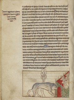 A Wolf; England; about 1250 - 1260; Pen-and-ink drawings tinted with body color and translucent washes on parchment; Leaf