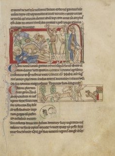 Dogs; England; about 1250 - 1260; Pen-and-ink drawings tinted with body color and translucent washes on parchment; Leaf