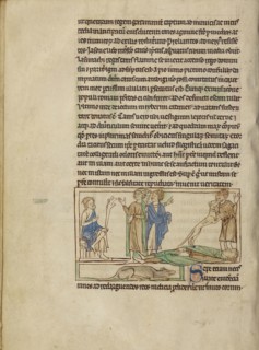 Dogs; England; about 1250 - 1260; Pen-and-ink drawings tinted with body color and translucent washes on parchment; Leaf