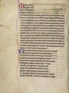 Weasels; England; about 1250 - 1260; Pen-and-ink drawings tinted with body color and translucent washes on parchment; Leaf