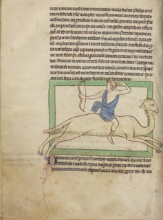 A Dromedary; England; about 1250 - 1260; Pen-and-ink drawings tinted with body color and translucent washes on parchment; Leaf