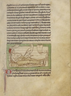 A Caladrius; England; about 1250 - 1260; Pen-and-ink drawings tinted with body color and translucent washes on parchment; Leaf