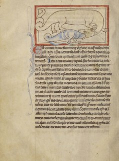 A Hydrus; England; about 1250 - 1260; Pen-and-ink drawings tinted with body color and translucent washes on parchment; Leaf