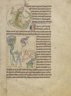 A Lizard; Salamanders; England; about 1250 - 1260; Pen-and-ink drawings tinted with body color and translucent washes