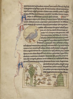 A Duck; Bees; England; about 1250 - 1260; Pen-and-ink drawings tinted with body color and translucent washes on parchment; Leaf
