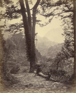 View of the Hakone Pass; Felice Beato, 1832 - 1909, Japan; 1863 - 1868; Albumen silver print