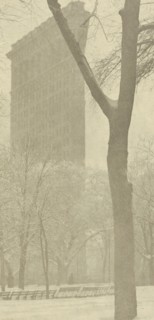 The  Flat-iron; Alfred Stieglitz, American, 1864 - 1946, 1903; Photogravure; 17 x 8.3 cm, 6 11,16 x 3 1,4 in