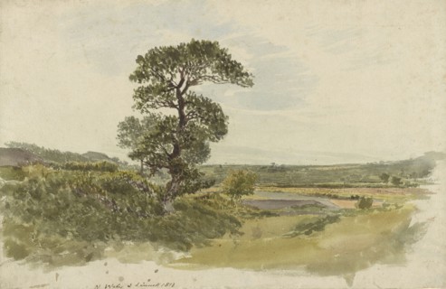 A Landscape in Snowdonia with a Tree in the Foreground; John Linnell, British, 1792 - 1882, England; 1813; Pencil