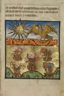 Five Bunches of Flowers; Norfolk perhaps, written, East Anglia, England; illumination about 1190; written about 1490; Tempera