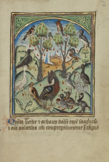 The Fifth Sign before the Day of Judgement; Norfolk perhaps, written, East Anglia, England; illumination about 1190; written